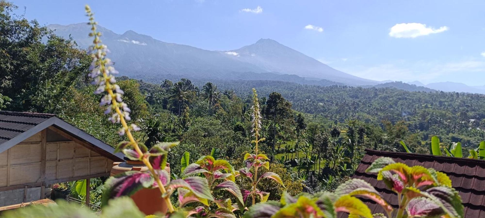 Tetebatu Terrace Homestay 外观 照片