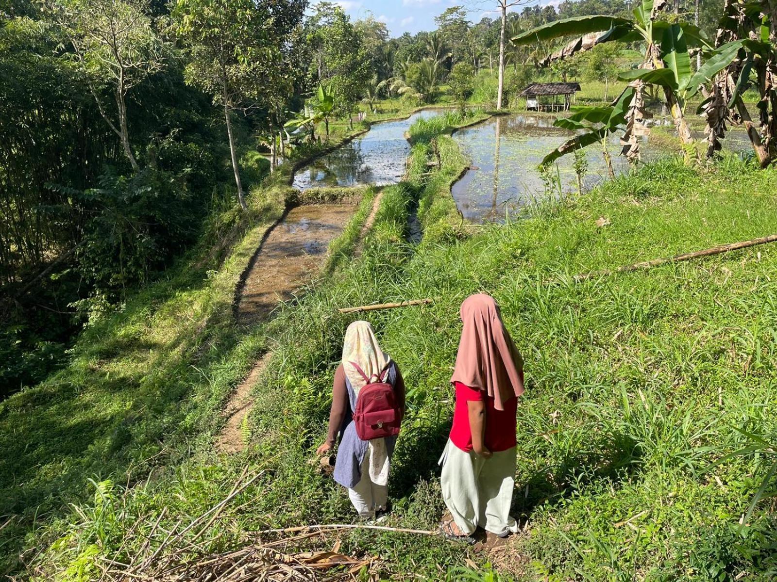 Tetebatu Terrace Homestay 外观 照片