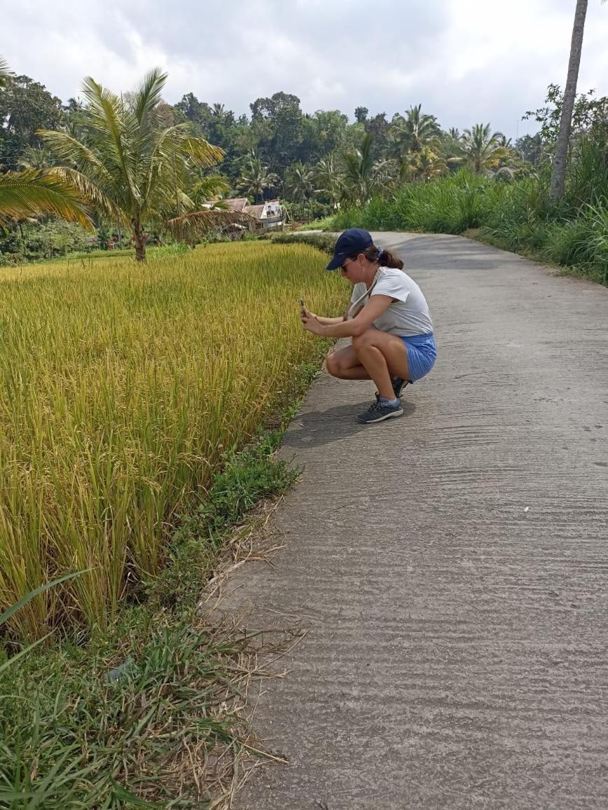 Tetebatu Terrace Homestay 外观 照片