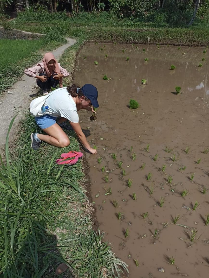 Tetebatu Terrace Homestay 外观 照片