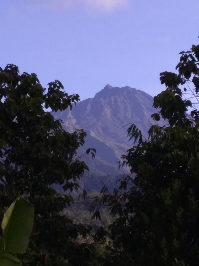 Tetebatu Terrace Homestay 外观 照片