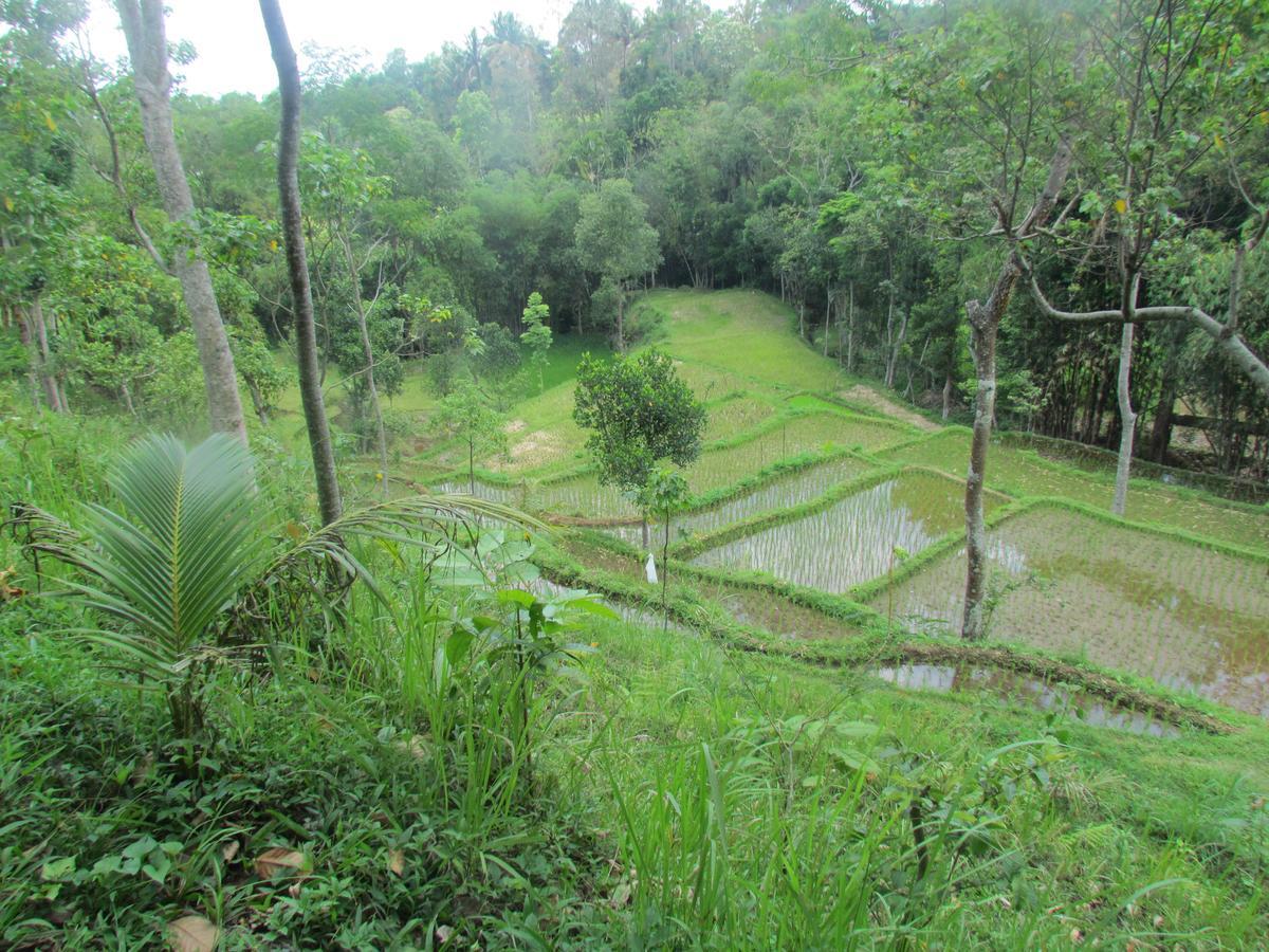 Tetebatu Terrace Homestay 外观 照片